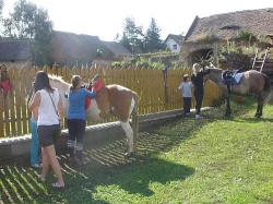 Jetdecký kroužek, nabídka volných míst