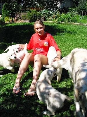 ZLATÝ RETRIEVER ŠTĚŇATA S PP