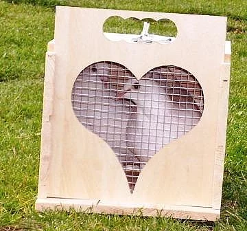 Přepravky pro svatební holuby