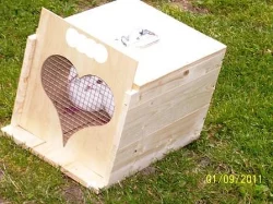 Přepravky pro svatební holuby