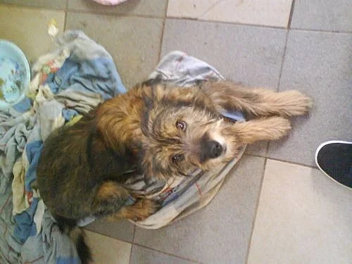 Daruji do dobrých rukou