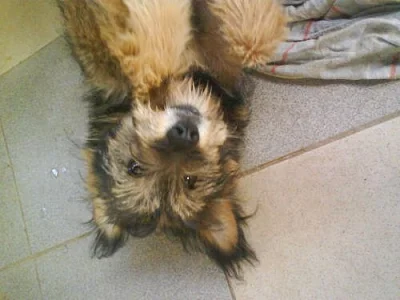 Daruji do dobrých rukou