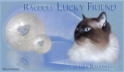 Tvorba www a Originální grafika