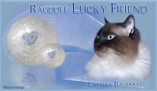 Tvorba www a Originální grafika