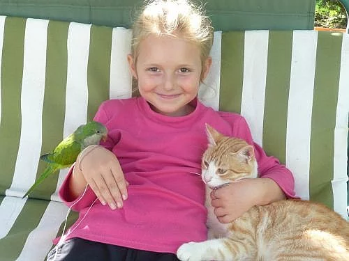 ochočeného papouška