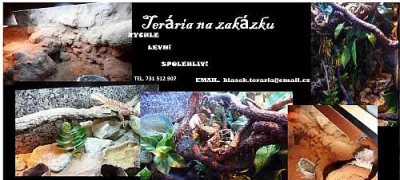 TERÁRIA NA ZAKÁZKU