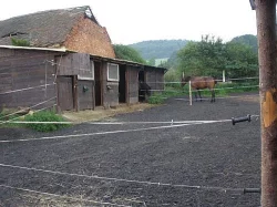 Ustájení koní, v ceně granule...
