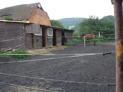 Ustájení koní, v ceně granule...