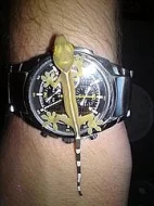 Lampropeltis getulus,Gekko vittatus