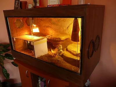 terarium