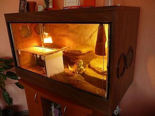 terarium