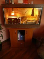 terarium