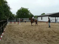 Jízdy na koních