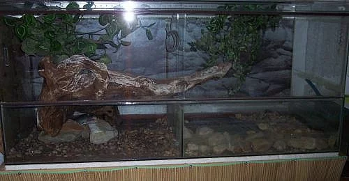Prodám terárium 145x65x57cm