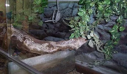 Prodám terárium 145x65x57cm