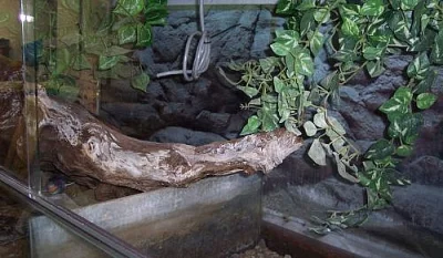 Prodám terárium 145x65x57cm