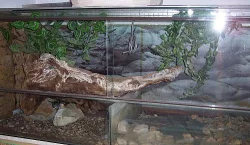 Prodám terárium 145x65x57cm