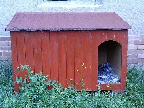 Prodám psí boudu