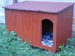 Prodám psí boudu
