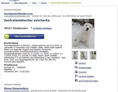 Inzerce v zahraničí (DE, AT, PL) pro CHOVATELE