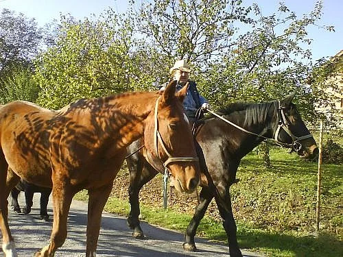Ježdění na koni