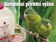 Aloe vera,grepový sirup,rakytník 100%