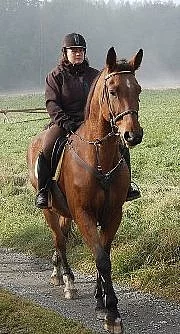 LEVNĚ (Spěchá) 100%-ní učitel, valach ČT