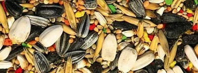 Míchanou směs zrnin pro střední  papoušky