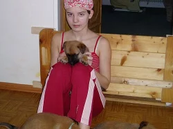 Belgický ovčák malinois - štěňátka s PP