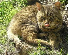 Nikdo není dokonalý, ale MY ANO (teda skoro)