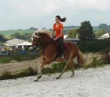 Ježdění na valáškovi Haflinga - spolujízda