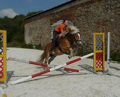 Ježdění na valáškovi Haflinga - spolujízda