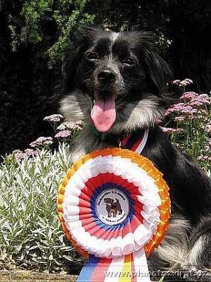 pozvánka na výstavu