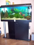 AKVÁRIUM 200 l