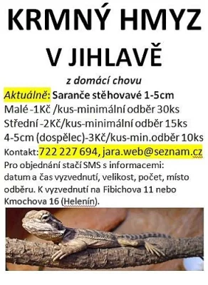 Krmný hmyz 1 - 5 cm