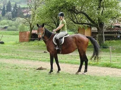 Jízdárna v Račicích nad Berounkou u Křivoklátu