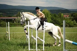Prodám roční klisnu, předpoklad do sportu