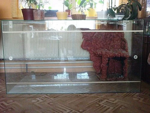 Terarium na velké plazy a ještěry