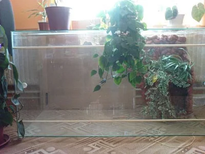 Terarium na velké plazy a ještěry
