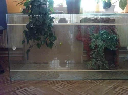 Terarium na velké plazy a ještěry