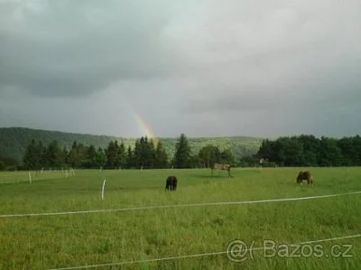 PASTEVNÍ USTÁJENI, JEŽDĚNÍ, A PRONÁJEM KONÍ