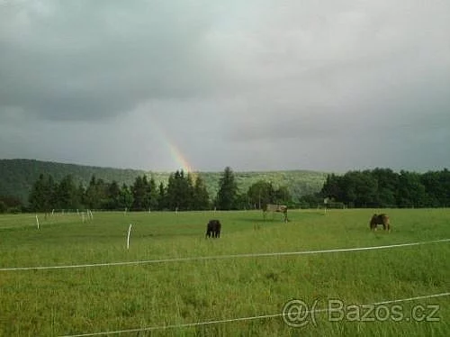 PASTEVNÍ USTÁJENI, JEŽDĚNÍ, A PRONÁJEM KONÍ