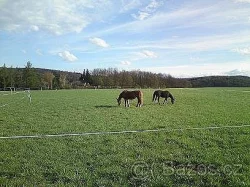 PASTEVNÍ USTÁJENI, JEŽDĚNÍ, A PRONÁJEM KONÍ