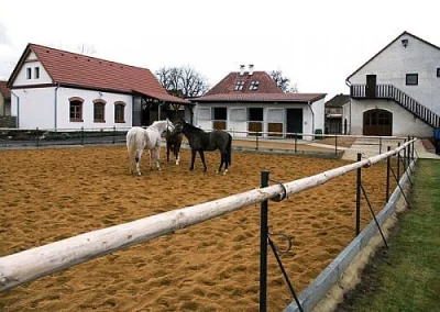 Ustájení koní nedaleko Okoře