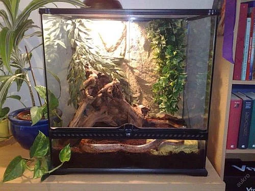 PLNĚ VYBAVENÉ TERÁRIUM S UŽOVKOU ČERVENOU