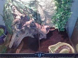 PLNĚ VYBAVENÉ TERÁRIUM S UŽOVKOU ČERVENOU