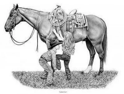 Westernové hobby závody