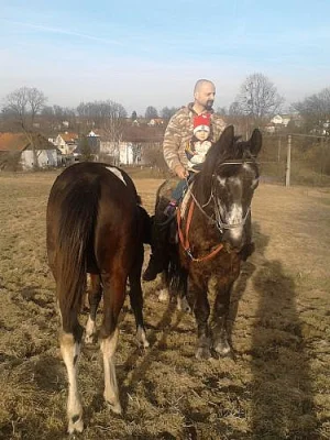Prodám kobylu s hříbětem