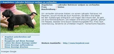 Inzerce v zahraničí pro CHOVATELE – FB sleva 10%