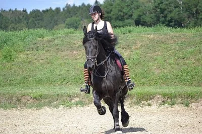 Sháním ježdění (pronájem) - Praha